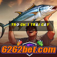 trò chơi trái cây