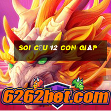 soi cầu 12 con giáp