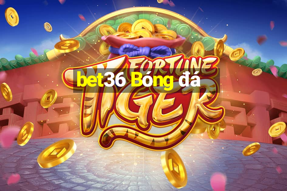 bet36 Bóng đá