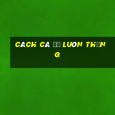 cách cá độ luôn thắng