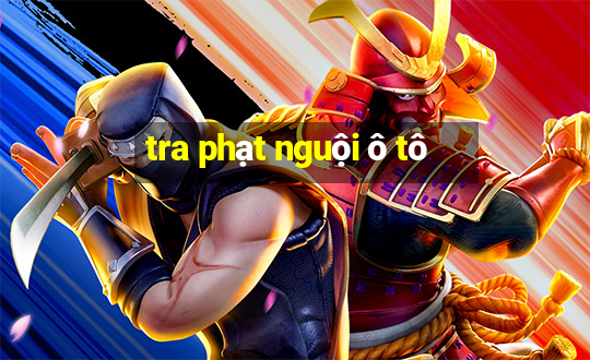 tra phạt nguội ô tô