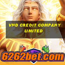 vnd credit company limited