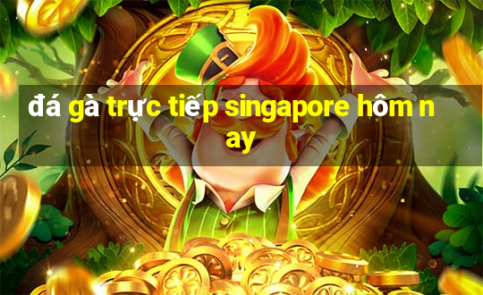 đá gà trực tiếp singapore hôm nay