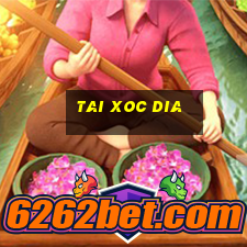 tai xoc dia