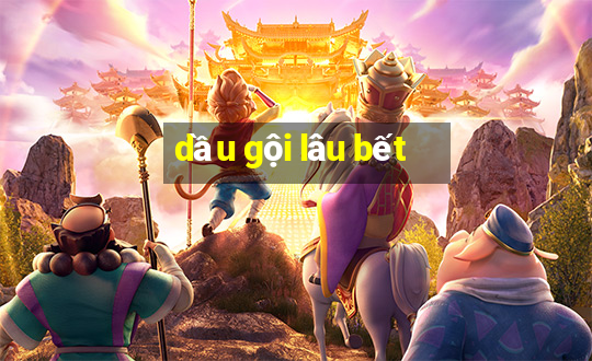 dầu gội lâu bết