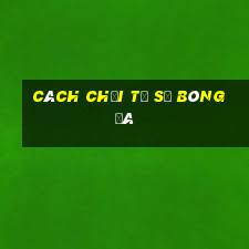 cách chơi tỷ số bóng đá