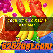 Cách đặt cược XSLA ngày mai