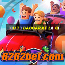 đầu từ baccarat là gì