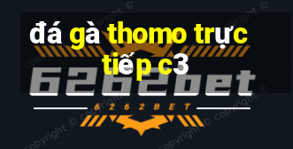 đá gà thomo trực tiếp c3