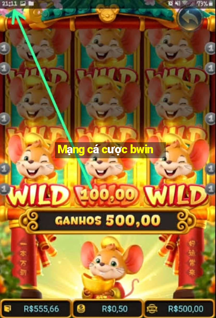 Mạng cá cược bwin