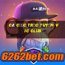 Cá cược trực tuyến vic club