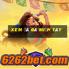 xem đá gà miền tây