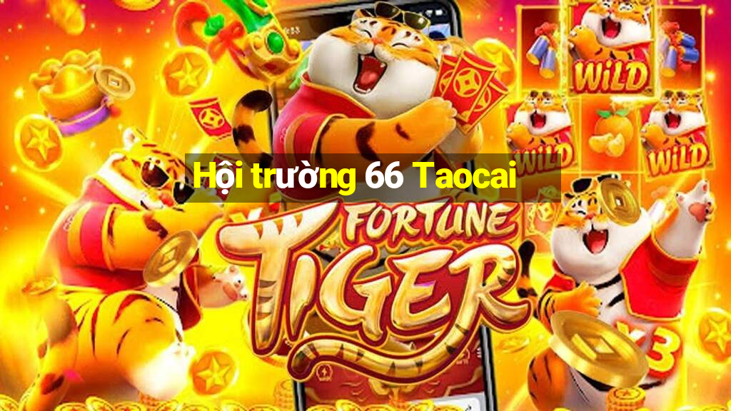 Hội trường 66 Taocai