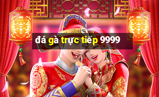 đá gà trực tiếp 9999