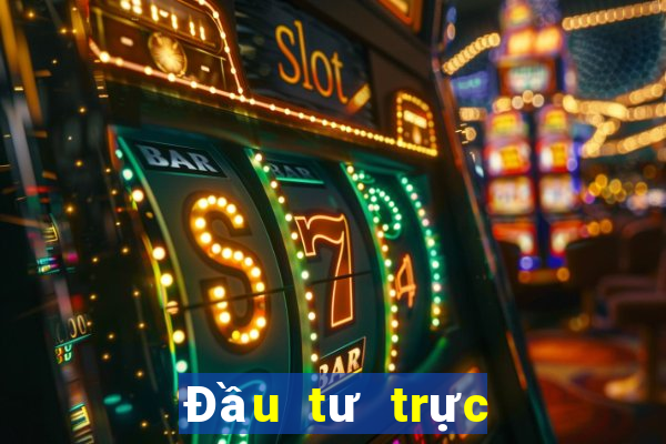 Đầu tư trực tuyến Platinum