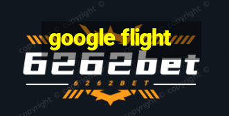 google flight