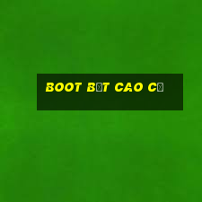 boot bệt cao cổ