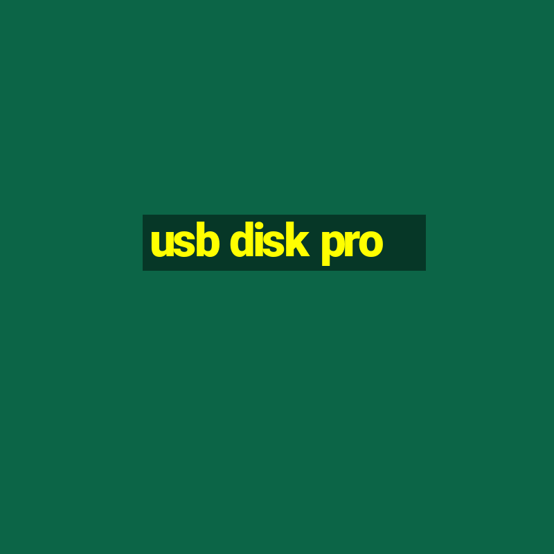 usb disk pro