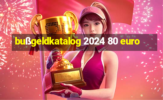 bußgeldkatalog 2024 80 euro