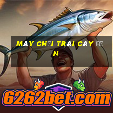 Máy chơi trái cây đơn