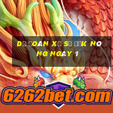 Dự Đoán Xổ Số Đắk Nông ngày 1