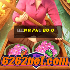 Đường phố Bo O