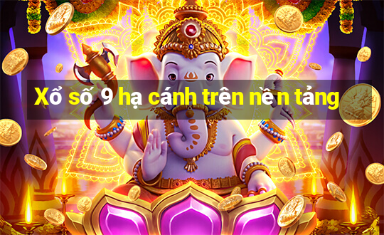 Xổ số 9 hạ cánh trên nền tảng