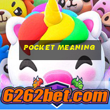 Pocket meaning