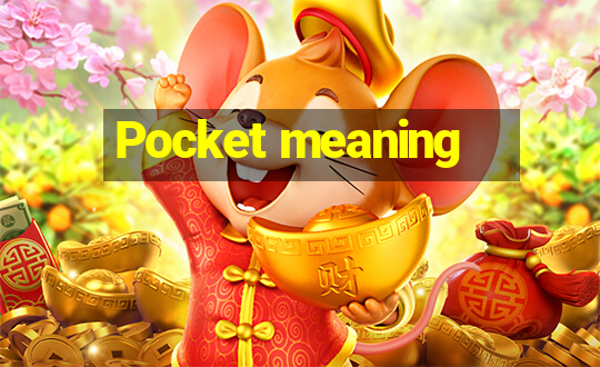 Pocket meaning