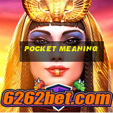 Pocket meaning