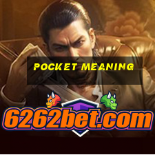 Pocket meaning