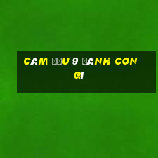 câm đầu 9 đánh con gì