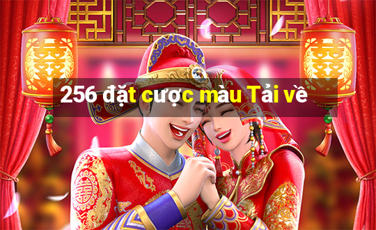 256 đặt cược màu Tải về