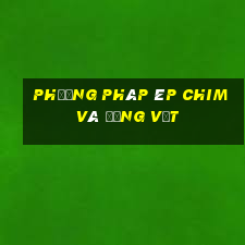 Phương pháp ép chim và động vật