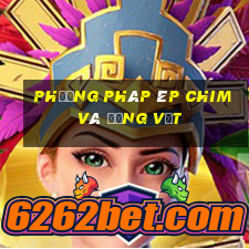 Phương pháp ép chim và động vật