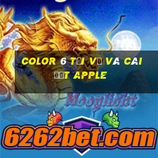 Color 6 Tải về và cài đặt Apple