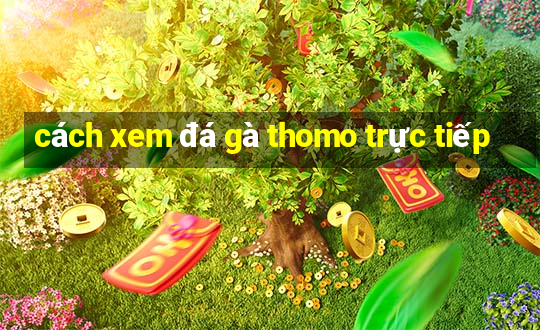 cách xem đá gà thomo trực tiếp