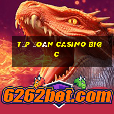 tập đoàn casino big c