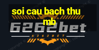 soi cau bach thu mb