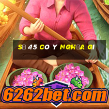 số 45 có ý nghĩa gì