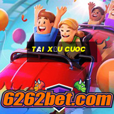 Tài Xỉu Cuoc