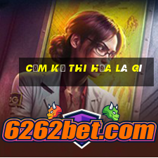 cầm kỳ thi họa là gì