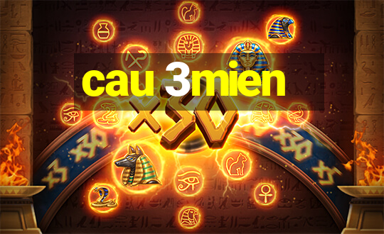 cau 3mien