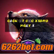 Cách đặt cược XSDNO ngày 5