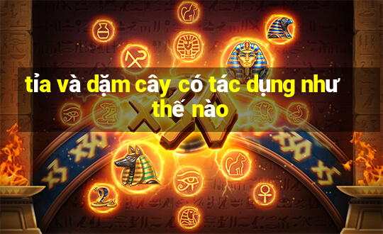 tỉa và dặm cây có tác dụng như thế nào