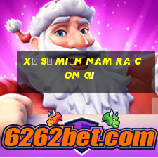 xổ số miền nam ra con gì