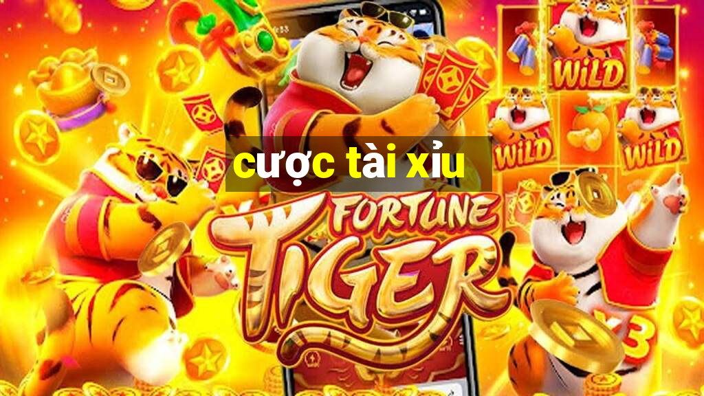 cược tài xỉu