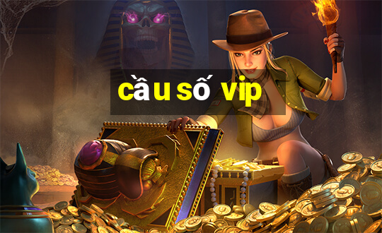 cầu số vip