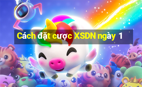 Cách đặt cược XSDN ngày 1