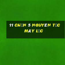 11 Chọn 5 Nguyên tắc máy lắc